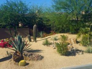 Bermuda Dunes Landscaping